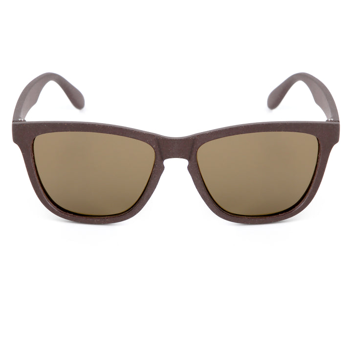 Wilpena Sunglasses - Coffee